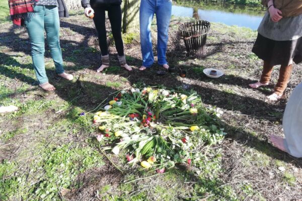 Img 20190321 Wa0019 Img 20190321 Wa0019