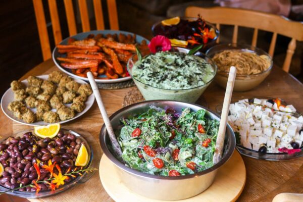 Psilocybin Retreats Netherlands Food Options Psilocybin Retreats Netherlands Food Options